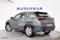 2020 Lexus UX