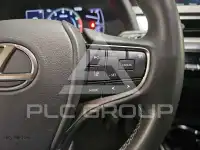 2020 Lexus UX