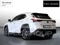 2020 Lexus UX