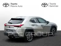 2020 Lexus UX