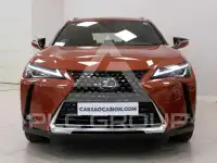 2020 Lexus UX