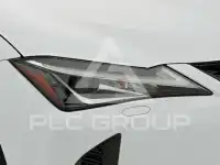 2020 Lexus UX