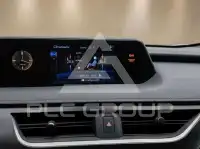 2020 Lexus UX
