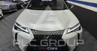 2020 Lexus UX