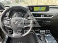 2020 Lexus UX