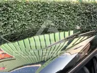 2020 Mini COOPER