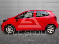 2020 KIA Picanto