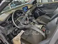 2020 Ford FOCUS