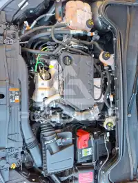 2020 Ford FOCUS