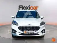 2020 Ford Kuga
