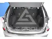 2020 Ford Kuga