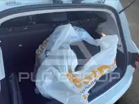 2020 Renault Clio