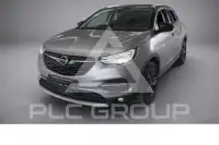 2020 Opel GrandlandX