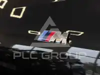 2021 BMW X6