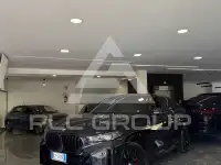 2021 BMW X6