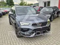 2021 Cupra Other