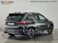 2021 Cupra Other