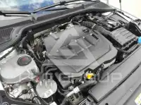 2021 Skoda Octavia
