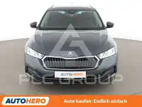 2021 Skoda Octavia