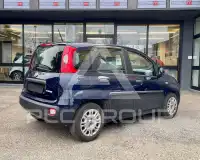 2021 Fiat Panda