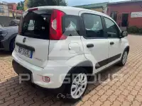 2021 Fiat Panda