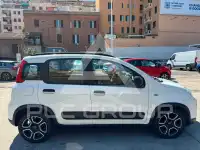 2021 Fiat Panda