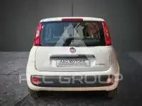 2021 Fiat Panda