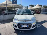 2021 Fiat Panda