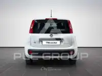 2021 Fiat Panda