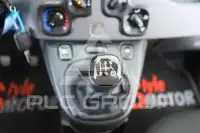 2021 Fiat Panda