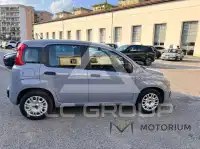 2021 Fiat Panda