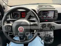 2021 Fiat Panda