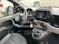 2021 Fiat Panda