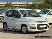 2021 Fiat Panda