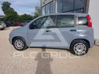 2021 Fiat Panda