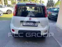 2021 Fiat Panda