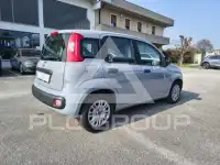 2021 Fiat Panda