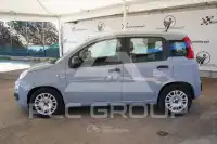 2021 Fiat Panda