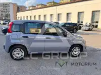 2021 Fiat Panda