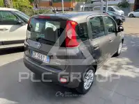 2021 Fiat Panda