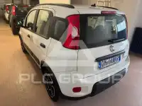 2021 Fiat Panda
