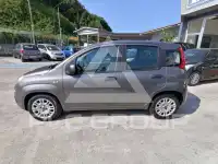 2021 Fiat Panda
