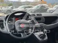 2021 Fiat Panda