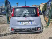 2021 Fiat Panda