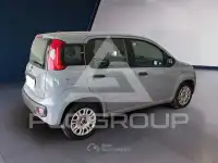 2021 Fiat Panda