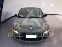 2021 Fiat Panda