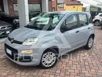 2021 Fiat Panda