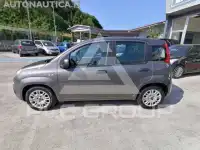 2021 Fiat Panda