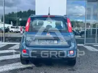 2021 Fiat Panda