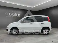 2021 Fiat Panda